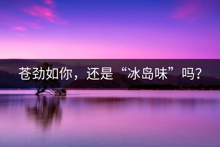 蒼勁如你，還是“冰島味”嗎？