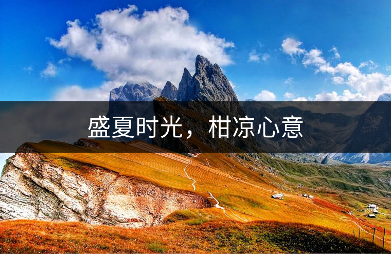 盛夏時(shí)光，柑涼心意