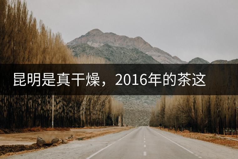 昆明是真干燥，2016年的茶這個(gè)湯色就
