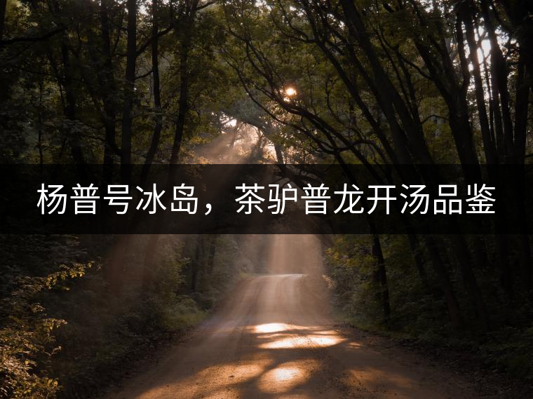 楊普號冰島，茶驢普龍開湯品鑒