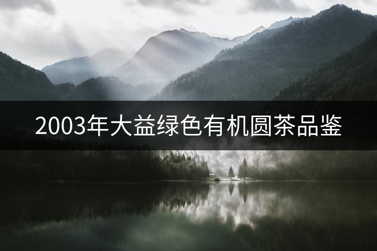 2003年大益綠色有機圓茶品鑒 2003年大益綠色有機圓茶品鑒