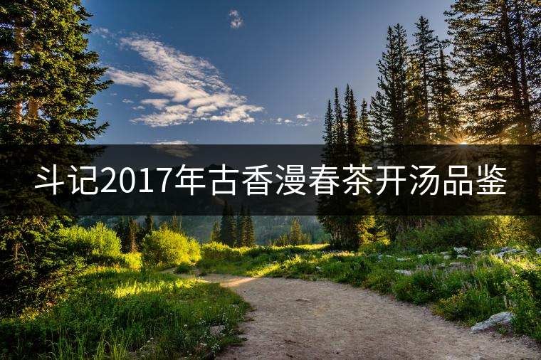 斗記2017年古香漫春茶開湯品鑒