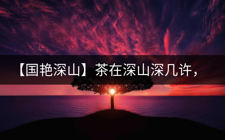【國艷深山】茶在深山深幾許，布朗味釅釅幾分！