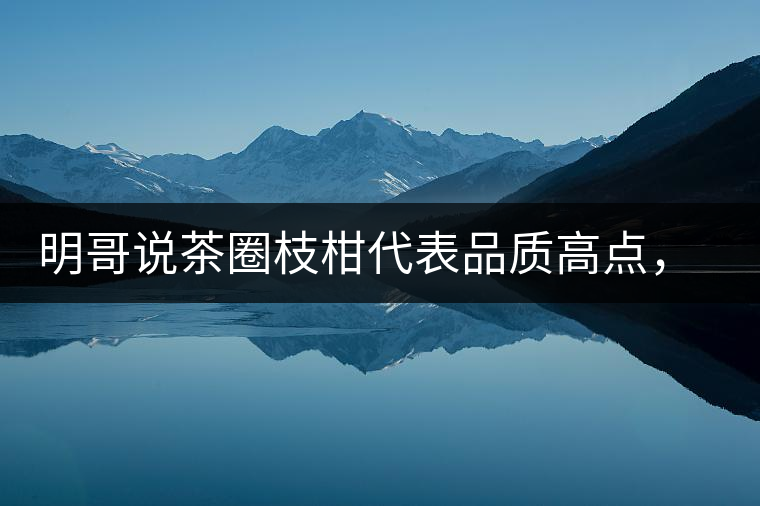 明哥說茶圈枝柑代表品質(zhì)高點(diǎn)，是玩家級(jí)的產(chǎn)品