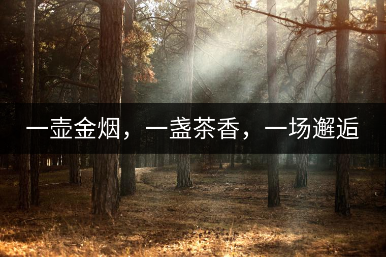 一壺金煙，一盞茶香，一場邂逅