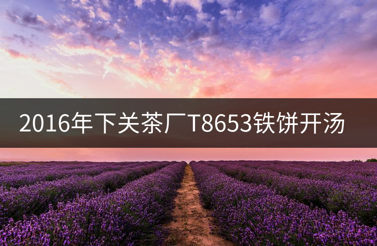 2016年下關(guān)茶廠T8653鐵餅開湯賞析