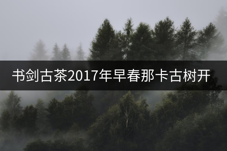 書劍古茶2017年早春那卡古樹開湯