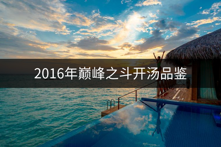 2016年巔峰之斗開湯品鑒