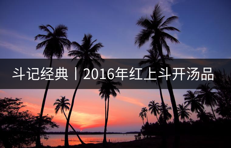 斗記經(jīng)典丨2016年紅上斗開湯品鑒賞析