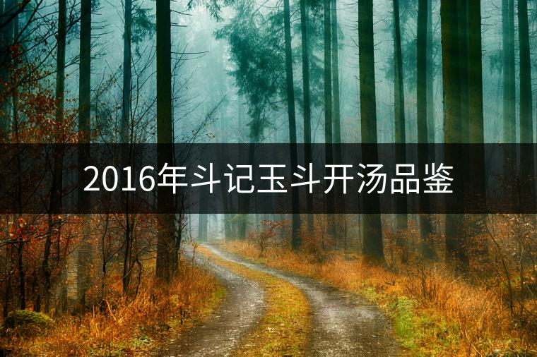 2016年斗記玉斗開湯品鑒