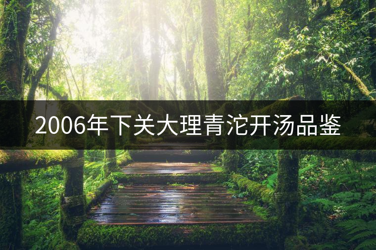 2006年下關(guān)大理青沱開湯品鑒 2006年下關(guān)大理青沱開湯品鑒