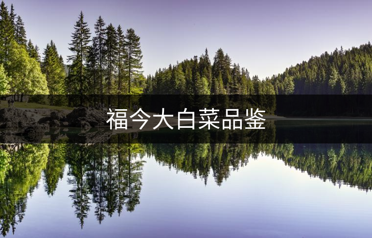 福今大白菜品鑒