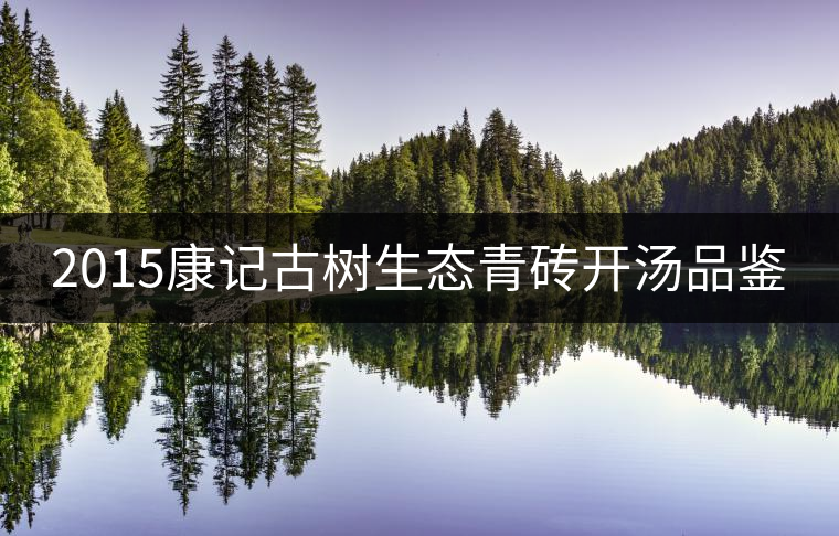 2015康記古樹(shù)生態(tài)青磚開(kāi)湯品鑒 2015康記古樹(shù)生態(tài)青磚開(kāi)湯品鑒