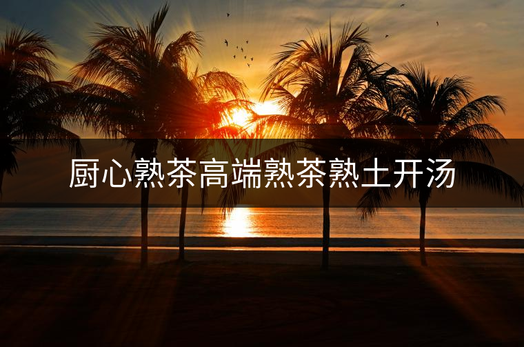 廚心熟茶高端熟茶熟土開湯 廚心熟茶高端熟茶熟土開湯