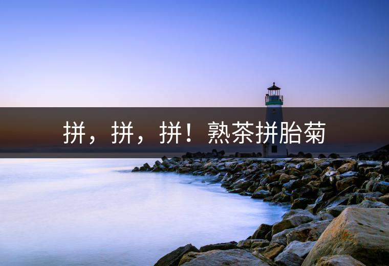 拼，拼，拼！熟茶拼胎菊