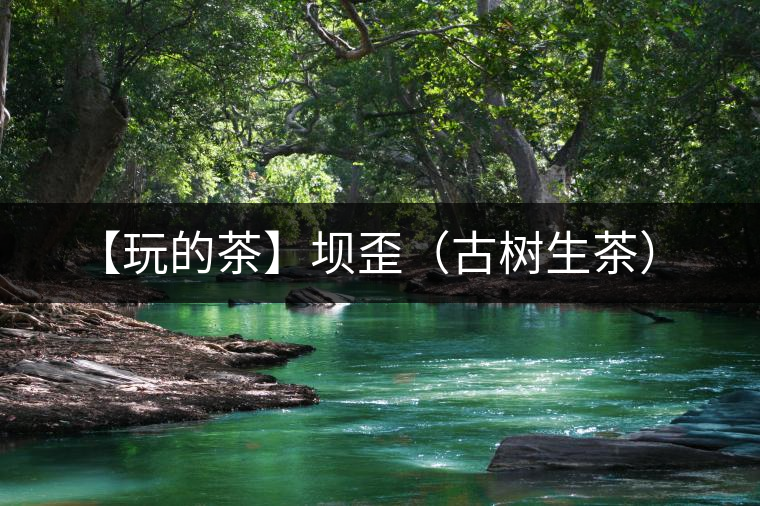 【玩的茶】壩歪(古樹生茶) 【玩的茶】壩歪(古樹生茶)