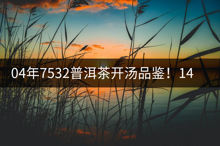 04年7532普洱茶開湯品鑒！14年轉(zhuǎn)化，經(jīng)典雪印配方！