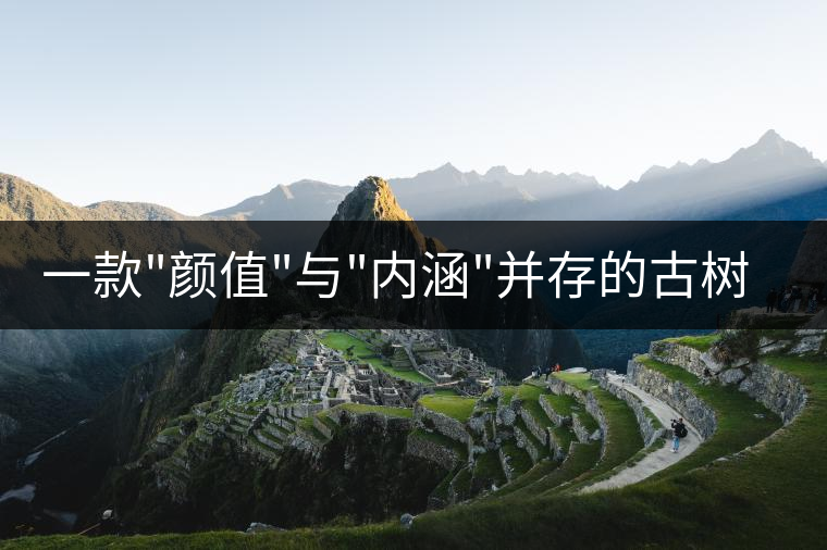 一款