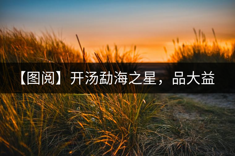 【圖閱】開(kāi)湯勐海之星，品大益熟茶滋味