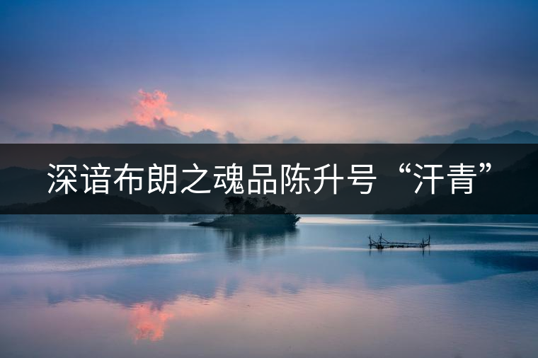 深諳布朗之魂品陳升號“汗青” 深諳布朗之魂品陳升號“汗青”