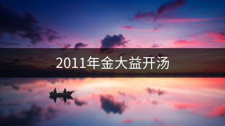 2011年金大益開湯