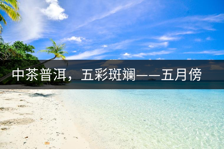 中茶普洱，五彩斑斕——五月傍晚，一道茶
