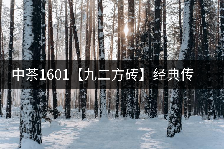 中茶1601【九二方磚】經(jīng)典傳承，巔峰即現(xiàn)