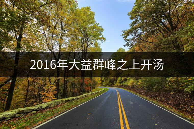 2016年大益群峰之上開(kāi)湯