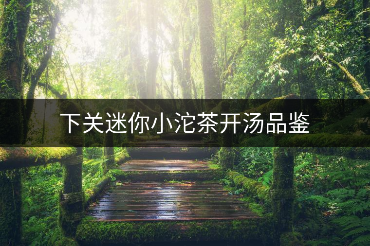 下關(guān)迷你小沱茶開湯品鑒