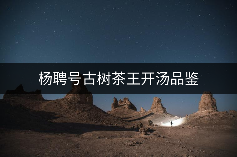 楊聘號古樹茶王開湯品鑒
