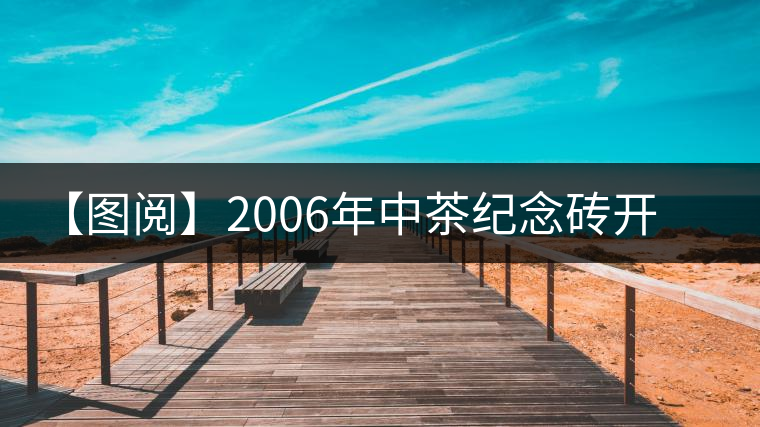 【圖閱】2006年中茶紀念磚開湯