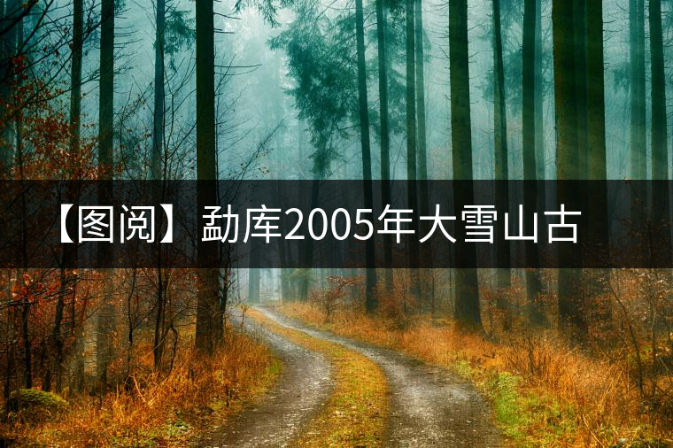 【圖閱】勐庫2005年大雪山古樹茶開湯