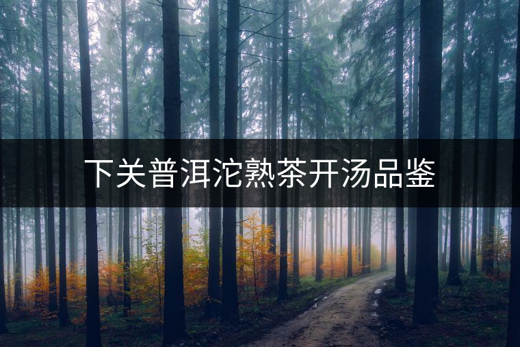 下關(guān)普洱沱熟茶開湯品鑒 下關(guān)普洱沱熟茶開湯品鑒