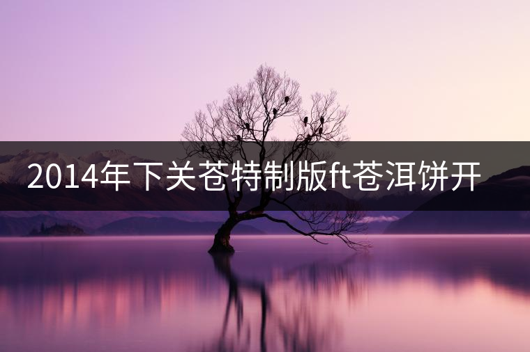 2014年下關(guān)蒼特制版ft蒼洱餅開湯品鑒
