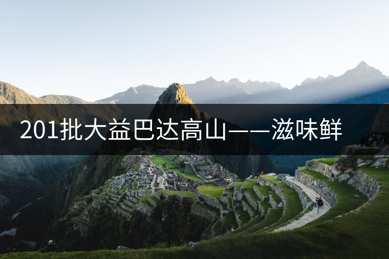 201批大益巴達(dá)高山——滋味鮮爽醇厚，回甘高而持久