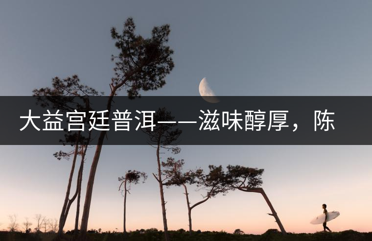 大益宮廷普洱——滋味醇厚，陳香濃郁