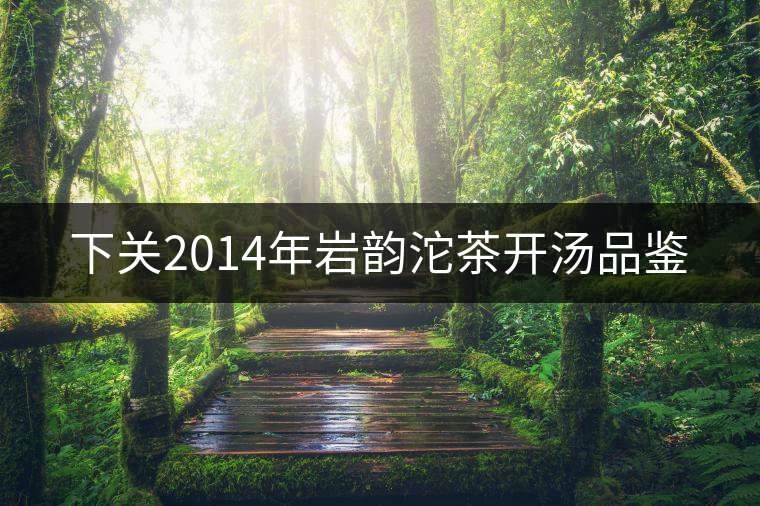 下關(guān)2014年巖韻沱茶開(kāi)湯品鑒