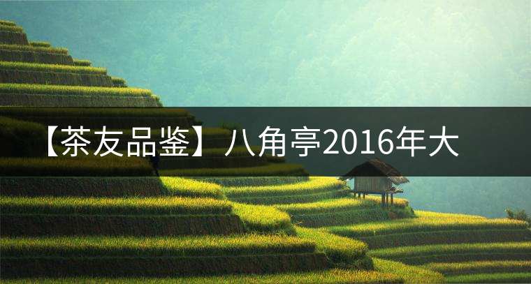 【茶友品鑒】八角亭2016年大典景邁開(kāi)湯 【茶友品鑒】八角亭2016年大典景邁開(kāi)湯