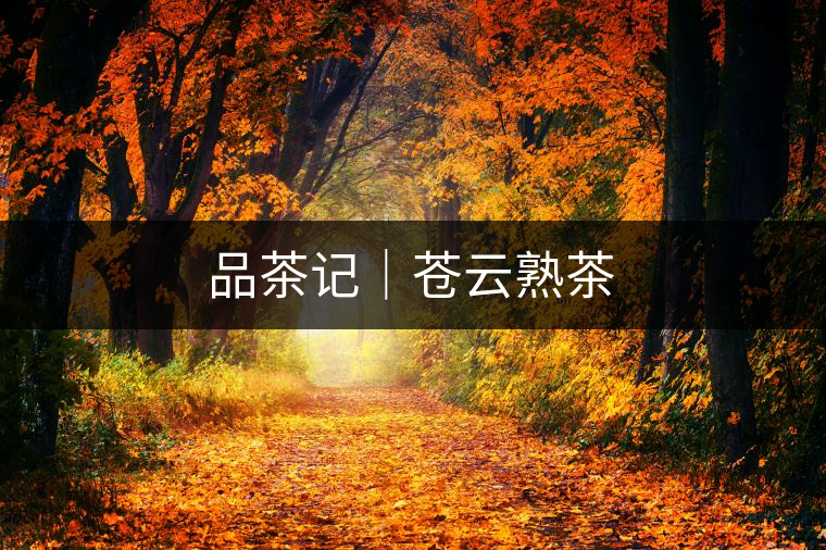 品茶記|蒼云熟茶 品茶記|蒼云熟茶