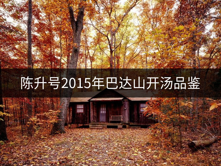陳升號2015年巴達山開湯品鑒 陳升號2015年巴達山開湯品鑒