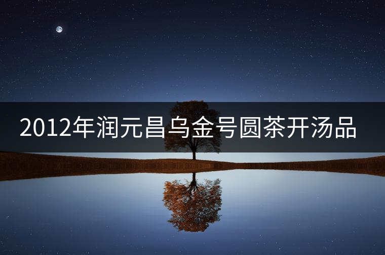 2012年潤(rùn)元昌烏金號(hào)圓茶開(kāi)湯品鑒