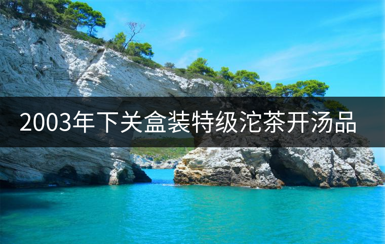 2003年下關(guān)盒裝特級沱茶開湯品鑒 2003年下關(guān)盒裝特級沱茶開湯品鑒