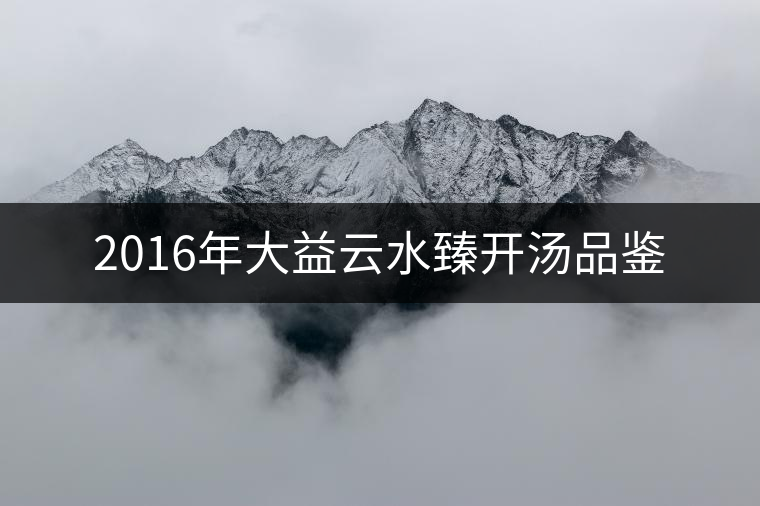 2016年大益云水臻開湯品鑒