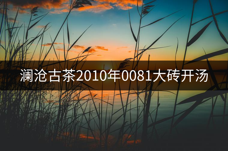 瀾滄古茶2010年0081大磚開湯