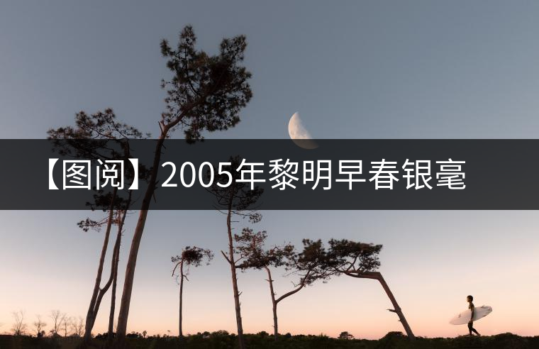 【圖閱】2005年黎明早春銀毫開湯