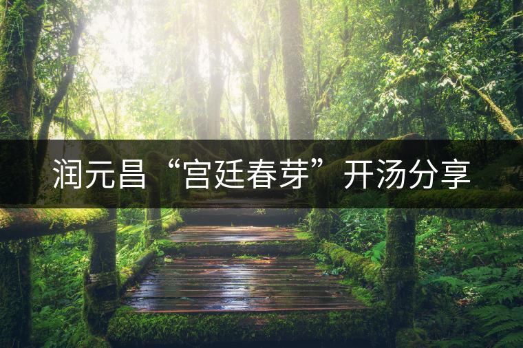 潤(rùn)元昌“宮廷春芽”開(kāi)湯分享 潤(rùn)元昌“宮廷春芽”開(kāi)湯分享
