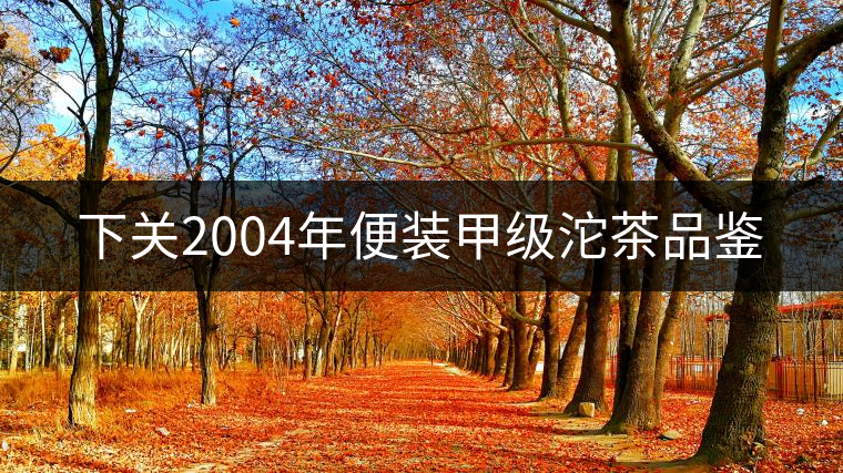 下關(guān)2004年便裝甲級沱茶品鑒 下關(guān)2004年便裝甲級沱茶品鑒