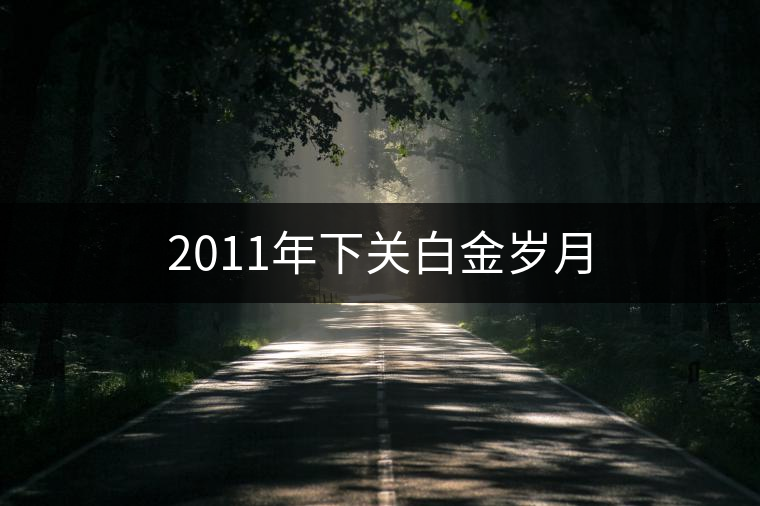 2011年下關白金歲月 2011年下關白金歲月