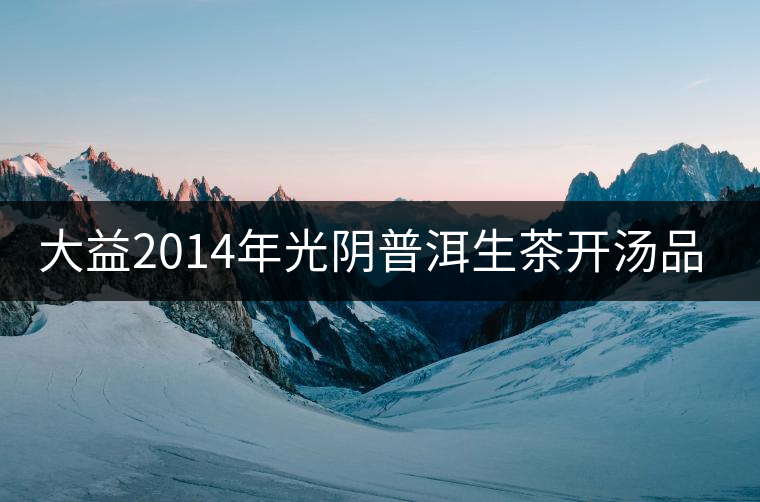 大益2014年光陰普洱生茶開湯品鑒