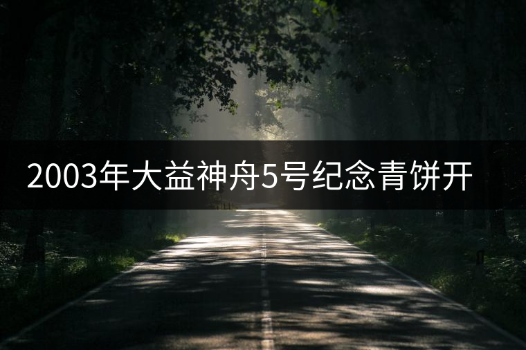 2003年大益神舟5號紀念青餅開湯